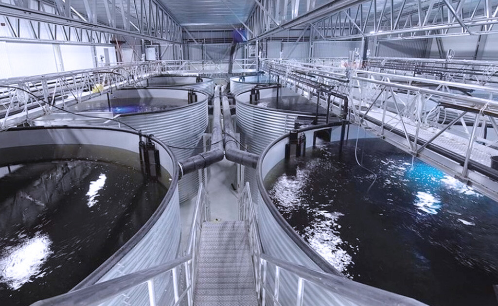 Dewatering-solutions-for-Landbased-Aqualcultre-fish-farms